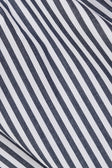 Black and White Stripe Elastic Dalia Shorts